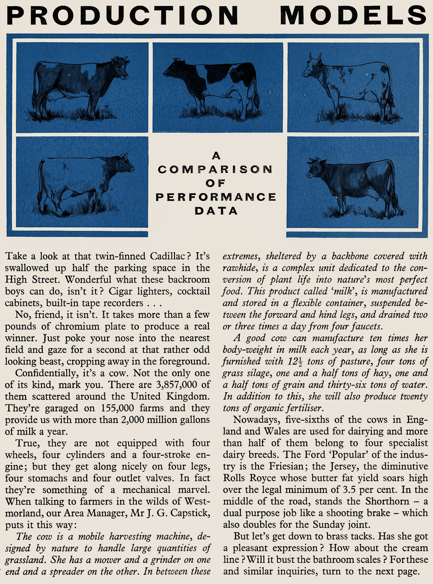 1960 Summary of dairy cattle breeds. (Express News Spring)
