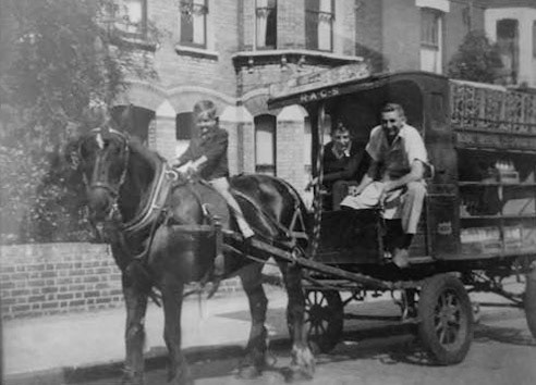 1950's? Penny says "A photo of our dad, on his RACS horse drawn float. Dad said his horse Carol used to walk along while my dad run backwards and forwards delivering the milk, all went well till she saw my mum coming up the road, knowing she would have carrots - she would gather speed and take off down the road with my Dad chasing after her yelling at her to stop."