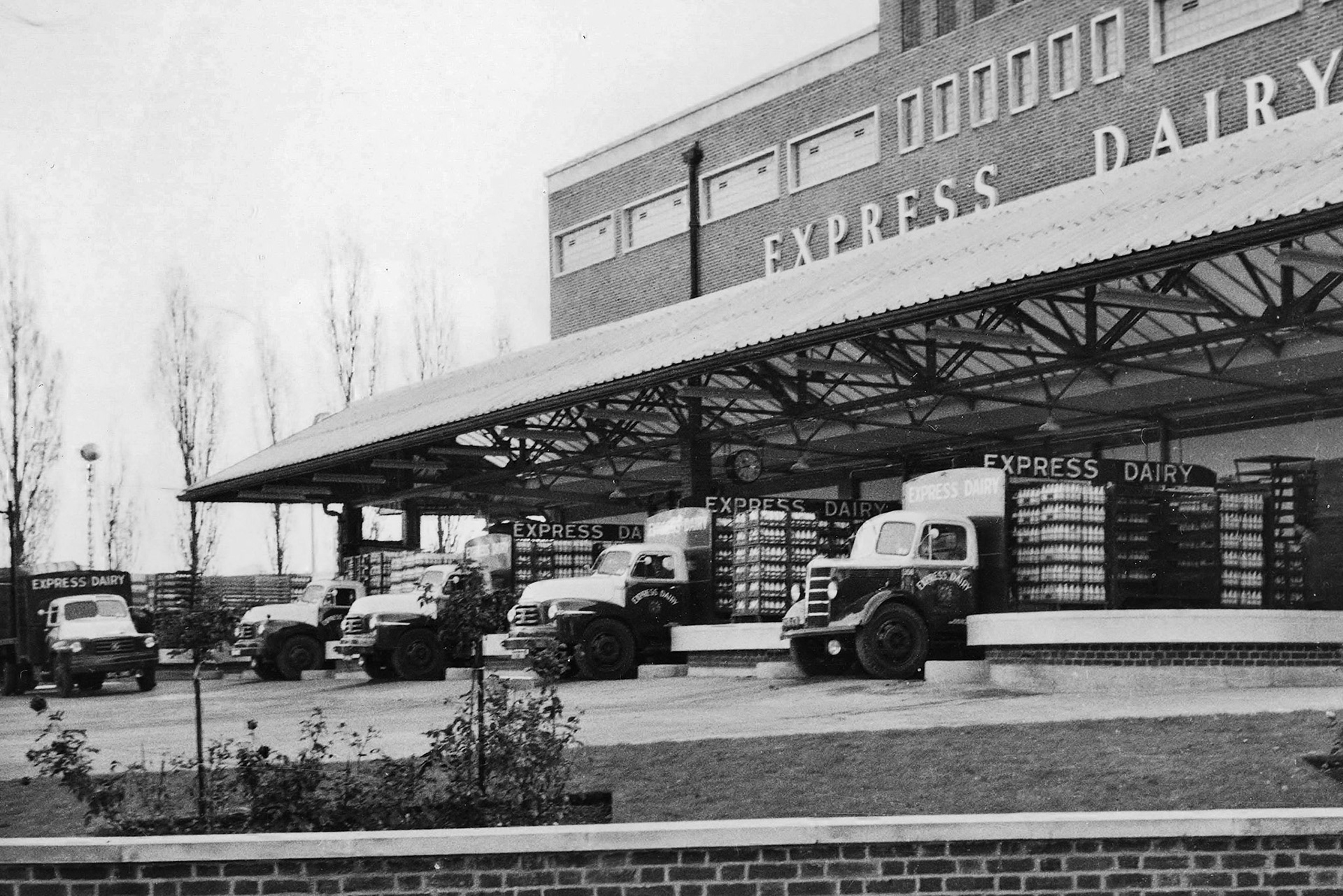 1950's South Morden loading bank. (Courtesy Dave Fane)
