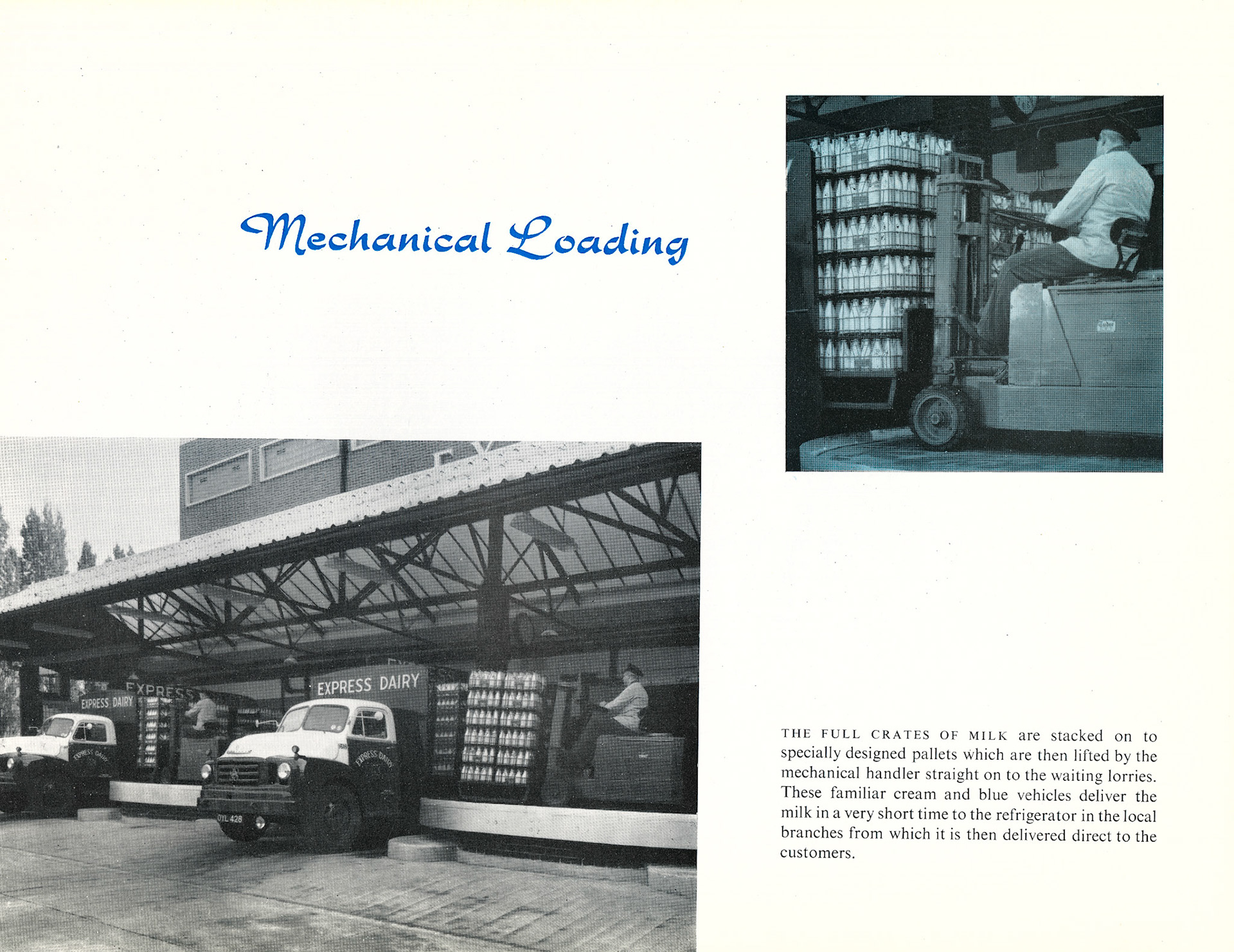 1955 South Morden Official Opening Brochure (Courtesy Paul Luke)