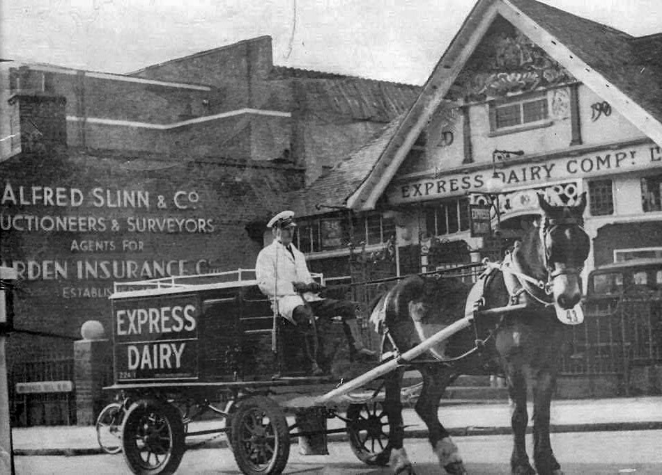 1951 Muswell Hill Depot. "Express milkman Bill Boon with horse 'Nobby' outside the Muswell Hill dairy. Bob Young comments "I loved working in that yard, you could still smell the horses in the seventies". John Whatling adds "Lots of those floats were abandoned on Frith Manor farm with the advent of electric vehicles." (Courtesy Michael Aldread)