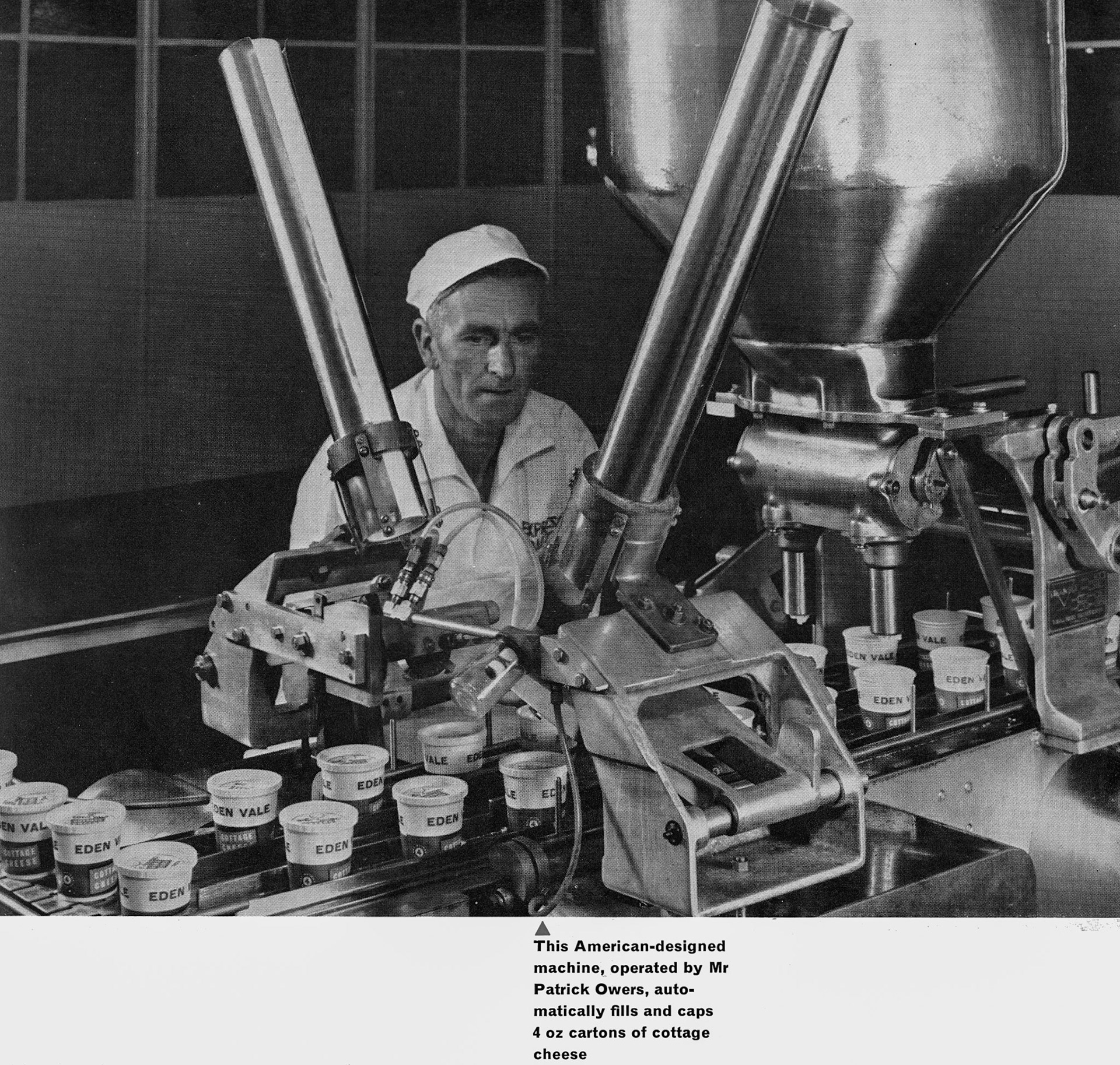 1963 Staplemead-extract from feature article-Mr Patrick Owers operates the cottage cheese filling and capping machine. Colin Carpenter comments "That must be a really old photo as the filling machine shown wasn't there in 1971 when I first started working in the Cottage Cheese department, thanks to my dad Dennis Carpenter getting me some holiday work. At the time, there was a 4 in line 4-ounce Benhil machine and a couple of 8-ounce rotary fillers. That was the last year before the river was diverted and it still used to flow past the skip baY-brilliant couple of weeks working with Griff Whey and Roy Adams there, quite an eye opener for a 16 year old!!" (Express News Autumn)