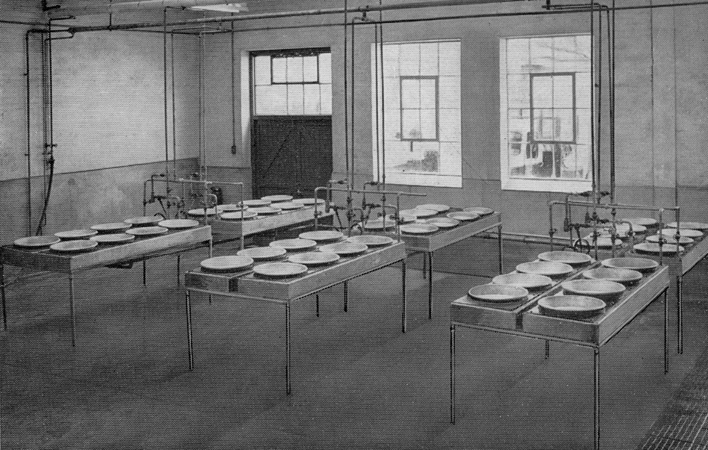 1957 Hammett's Dairies brochure extracts-clotted cream production in heated bowls. (Courtesy Michael Mitchell)