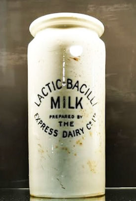 1890's? Ceramic container for 'Lactic-Bacilli Milk' (Courtesy Alan Salt, thought to be Stranraer Museum)