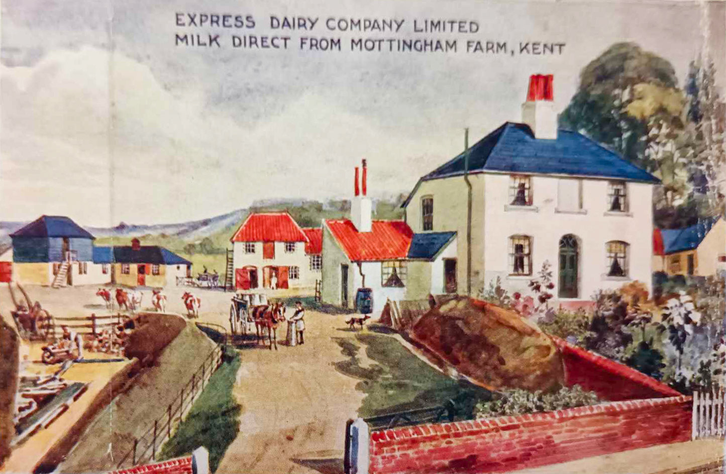 1900's 'Drink Pure Fresh Cow's Milk from Mottingham Farm' (Courtesy Gerald Croxford)