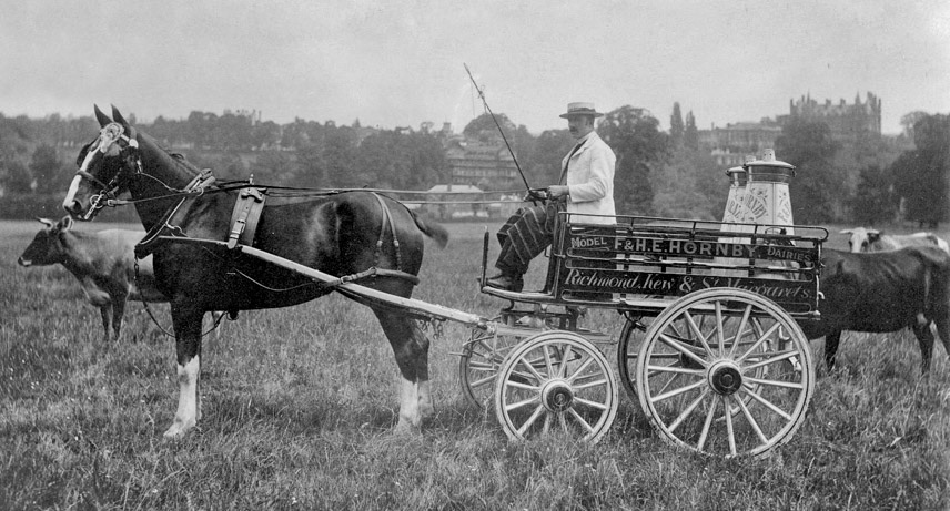 1910's F & H E Hornby’s milk delivery wagon. Josiah Clarke died 12th June 1917. The family run business was then amalgamated with their main rival F & H E Hornby. (Courtesy Twickenham Park Residents Association)