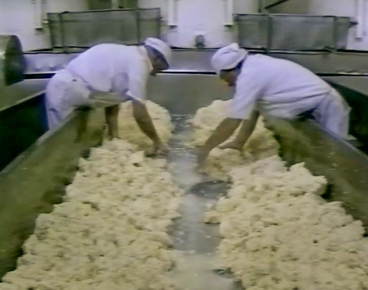 1989 Reece's Creamery-Cheshire Cheese Production-curds arranged to allow the whey to drain off