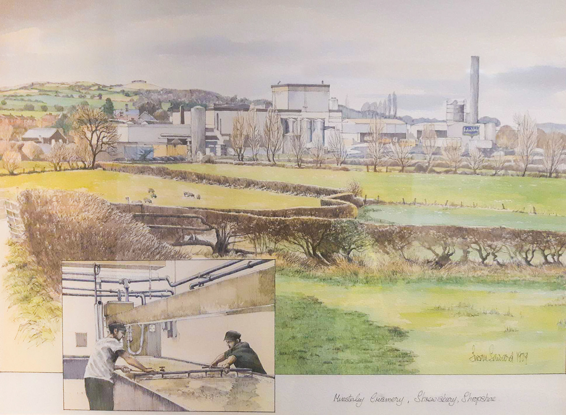1989 Painting of Minsterley Creamery. John Southwell suggests that watercolour artist is Susan Saward. Nev Embrey comments “Little picture cutting cottage cheese in the long vat”from conference room. John Potter comments "Worked in the vat room from 1975 until 1996, then moved into R&D until 2006, great 31 years with the Company and met some great people in that time 😊😊" (Courtesy Paul Bloor)