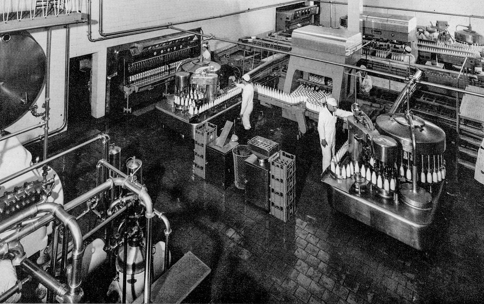 1968 Wakefield processing floor, with the newly installed bottling line at the back. (Express News Summer)