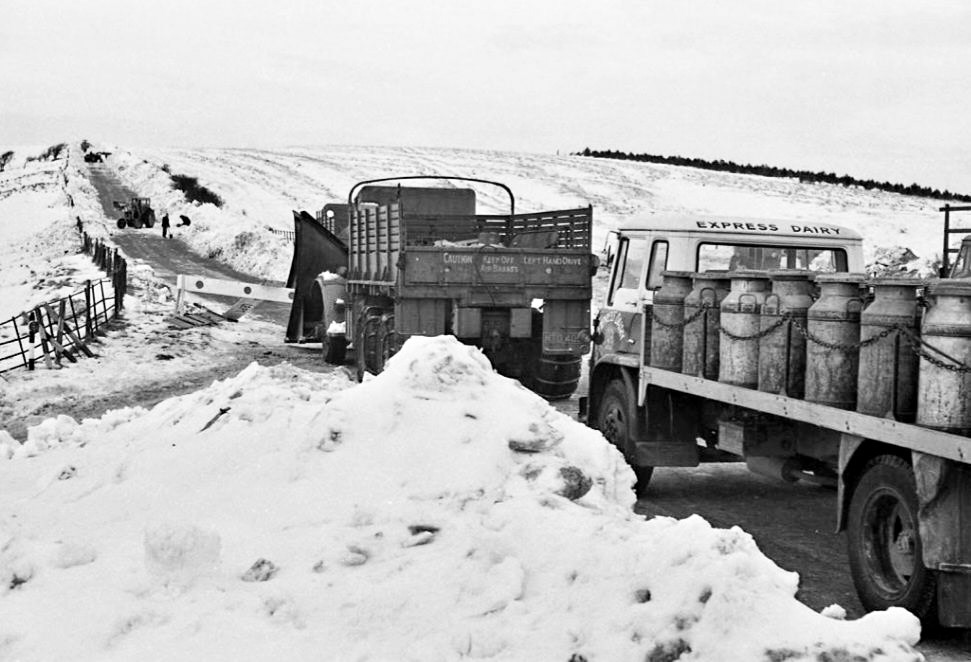 1964c Churn collection from Milborne. Nivek Retneprac comments "Milborne St Andrew had a fleet of Bedford TKs after the S type, maybe c1964 and this picture looks like the drag up to the Askerwell Hotel from Winterborne Abbas." Leon Haynes adds "Milborne must have had 20 of them at any given time, they were replaced with the Mercury, then Clydesdale." John Irish explains "An ex-army Mack NM 6x6 with snow plough in front." (Courtesy Express Dairy Memories)