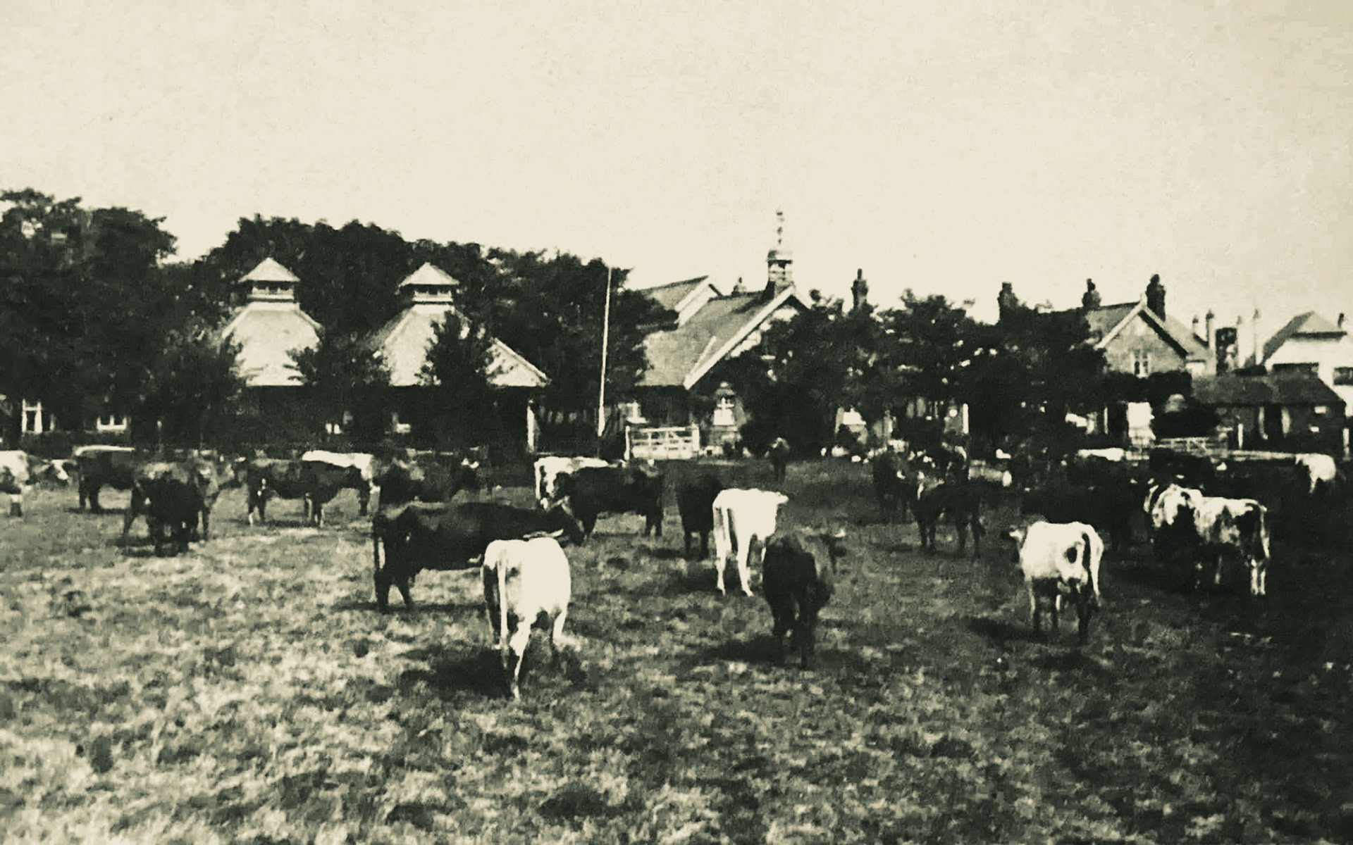 1890's? College Farm, Finchley (Courtesy Michael Aldread)