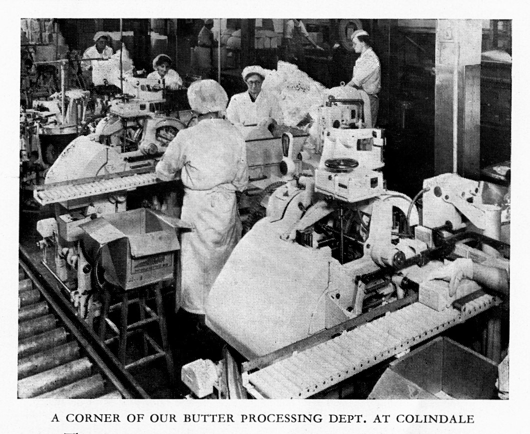 1954 Colindale Butter Packing Department. The department moved to South Ruislip in 1959. (Express Salesman's Manual Fourth Edition)