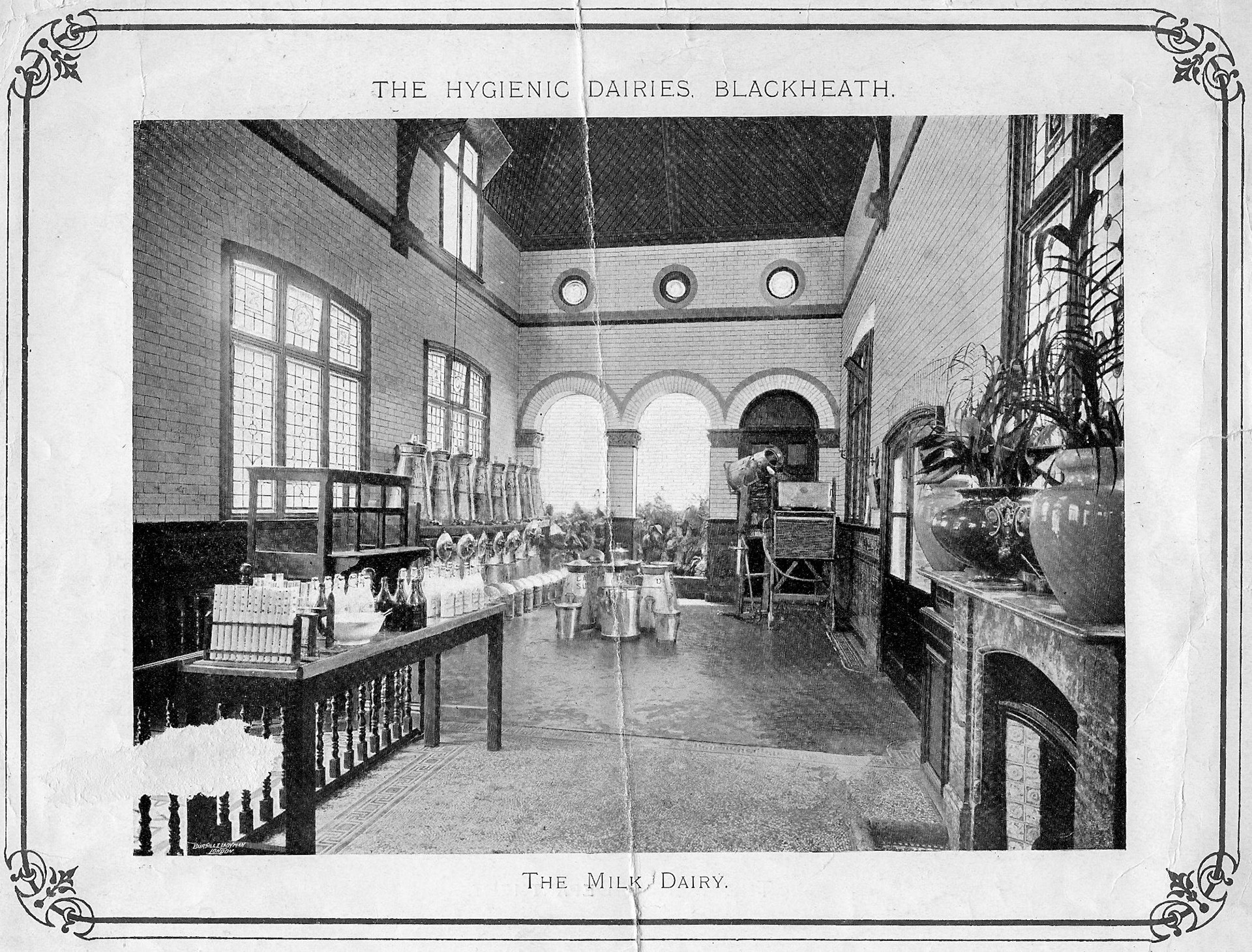 1900's? Blackheath Dairy. (Courtesy Brian Wastell)
