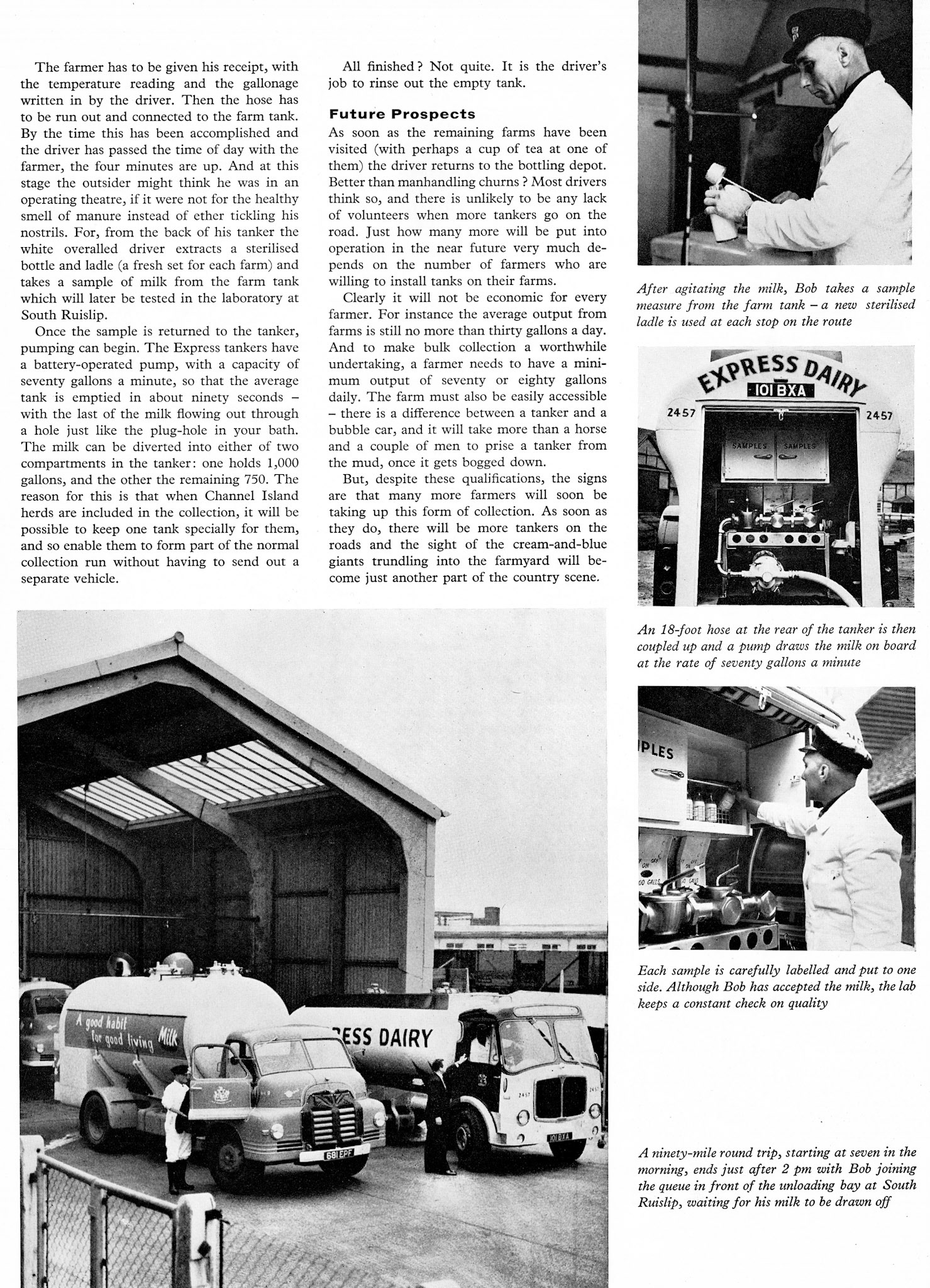 1961 First Express ex-Farm 1750 gallon bulk milk tankers based at Rickmansworth, featuring Bob Brownsell from South Ruislip, who just completed 20 years with Express. Bob was trained for two weeks at South Morden laboratory, where MMB drivers are also trained. (Express News Summer)