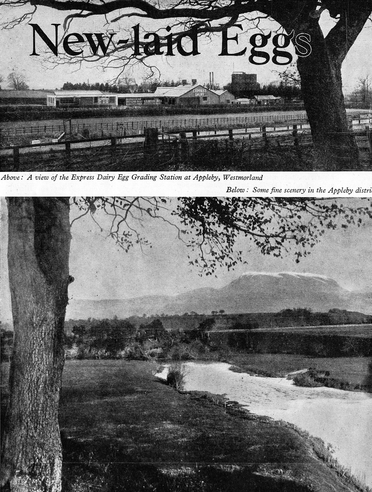 1934 May-Dairymaid Magazine 35 (Courtesy Paul Smith)