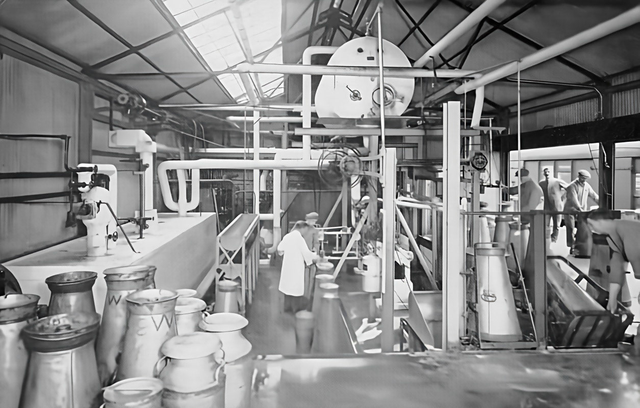 1931 Billingshurst Creamery churn tipping, from Express Story 1864 - 1964. Chris Austen comments "I spent a few weeks at Billingshurst in 1959; Derek Gray was the manager. Ex-farm milk was cooled using a brine cooler; one had to be very careful not to freeze the product - otherwise it would come cascading out of the cooling system!!"