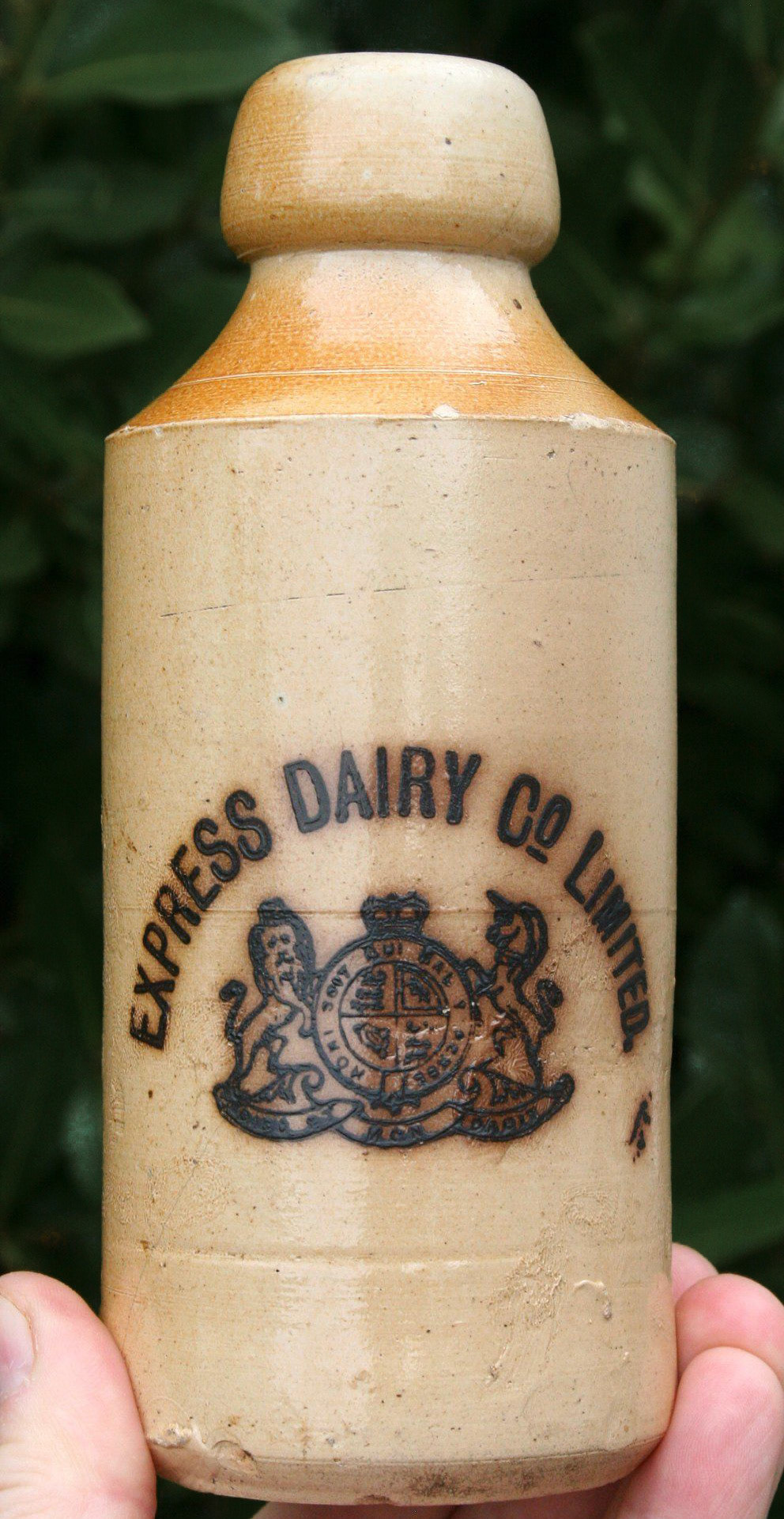 1910's? Express Dairy stoneware ginger beer with a Royal insignia (Queen Victoria). Mark comments "Express Dairy received it’s royal warrant in 1895 from when it proudly displayed the Royal insignia alongside its name. By the turn of the nineteenth century Express Dairy was running tea houses (light refreshment restaurants) across London and was manufacturing the majority of it’s own foods and beverages including ginger beer." (Courtesy Mark Hudson)