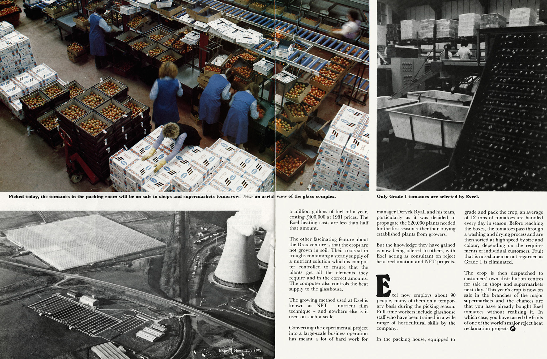 1981 Joint venture between Express and the CEGB is celebrated at the official opening of Drax glasshouse, as Exel.  (Express News July)