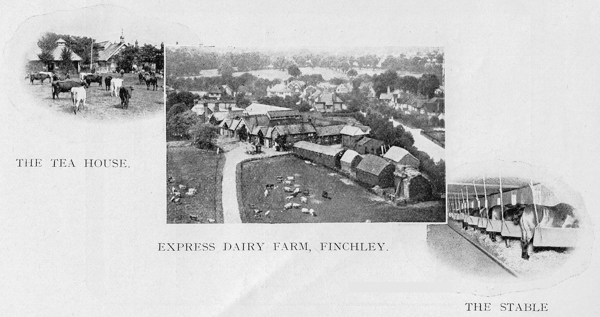 1929 College Farm, Hampstead Official Guide (Courtesy Mikeyashworth-flickr)