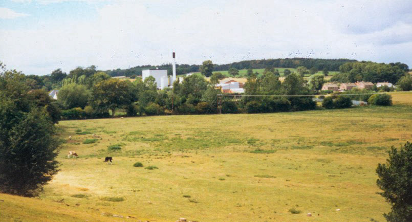 1990 Ruyton - Doctor's Meadow before houses were built (Courtesy Yoland Brown)