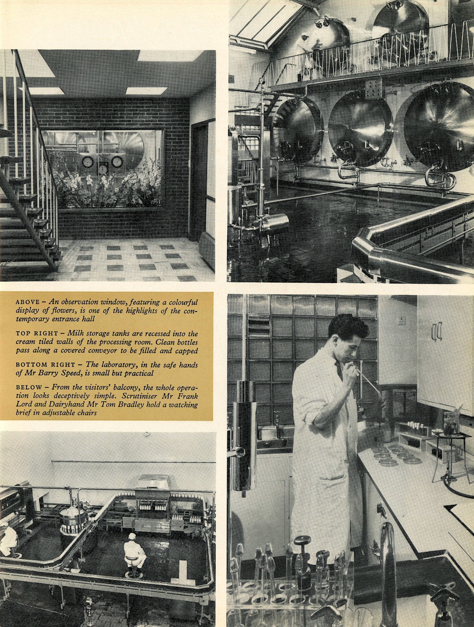 1958 Wakefield Dairy opening