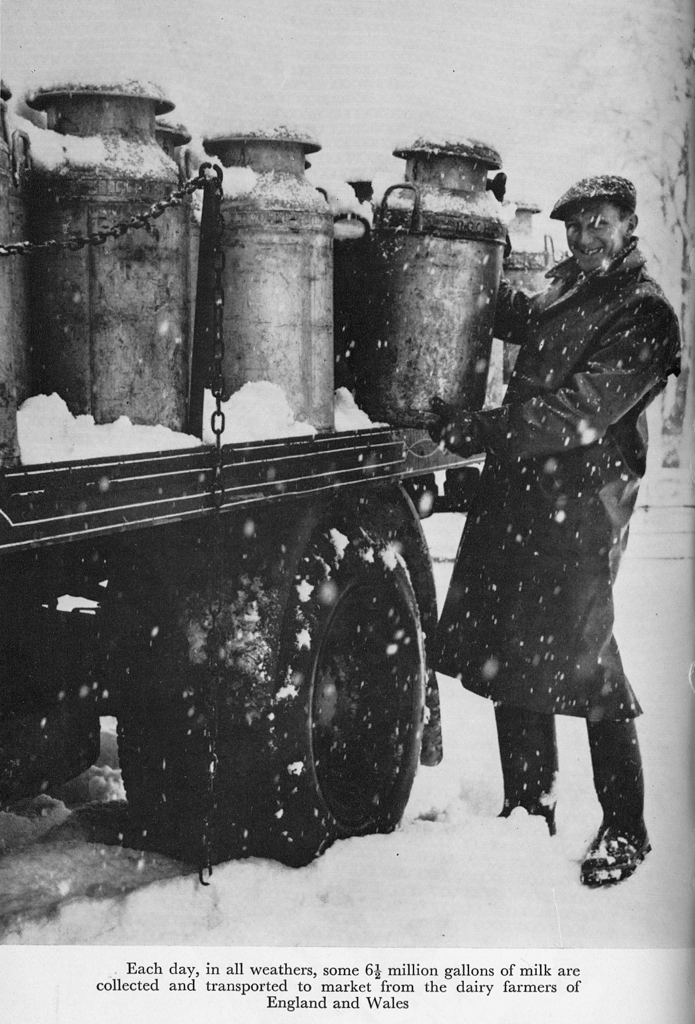 1950's? 'Milk to Market' Illustrations by Stanley Baker - Dust Jacket