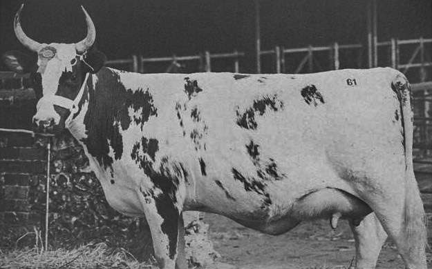 1920's College Farm (Courtesy Mark Littlefield,)
