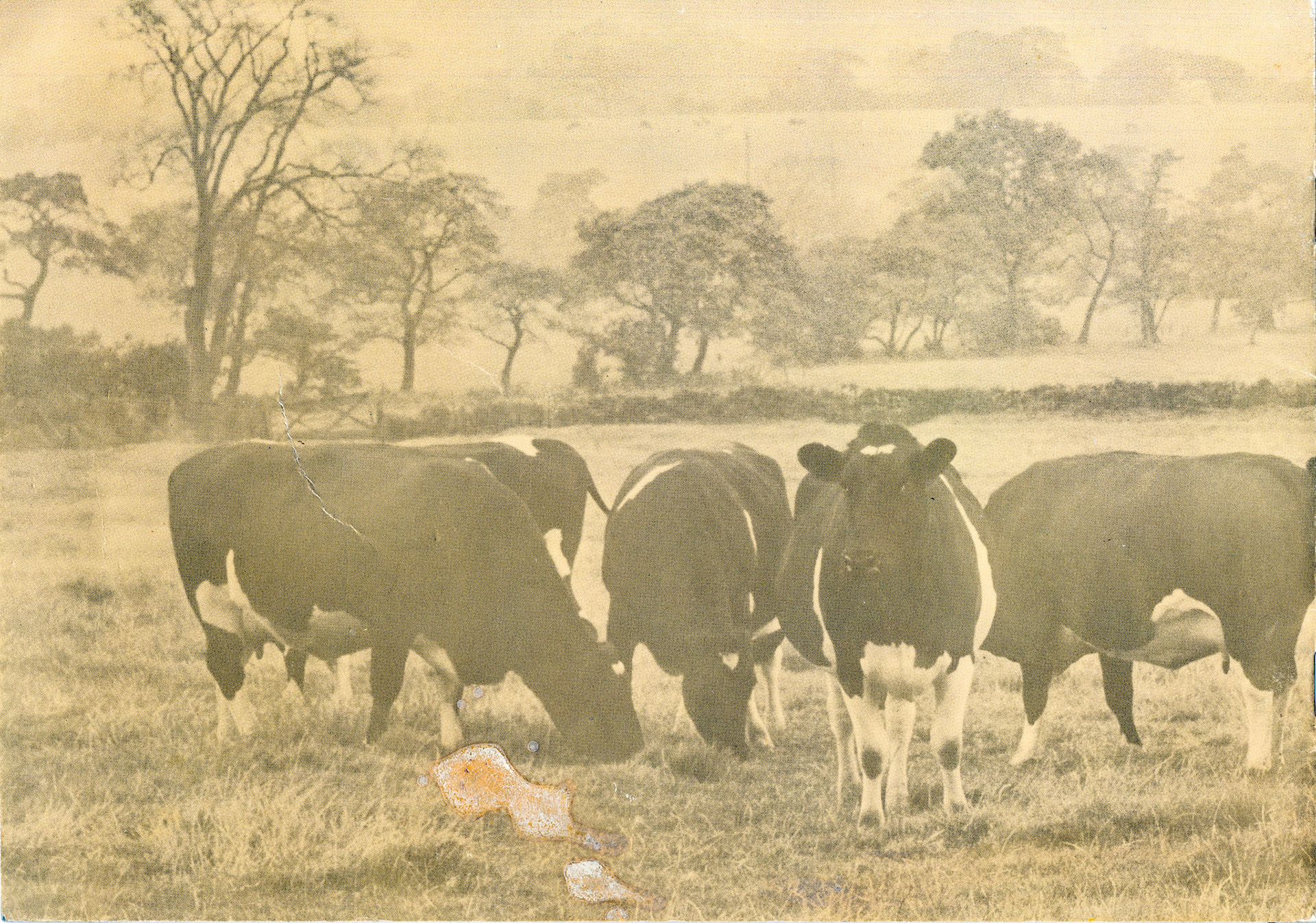 1983 MMB 50th Anniversary booklet-Back Cover. (Courtesy Andy Wallis)