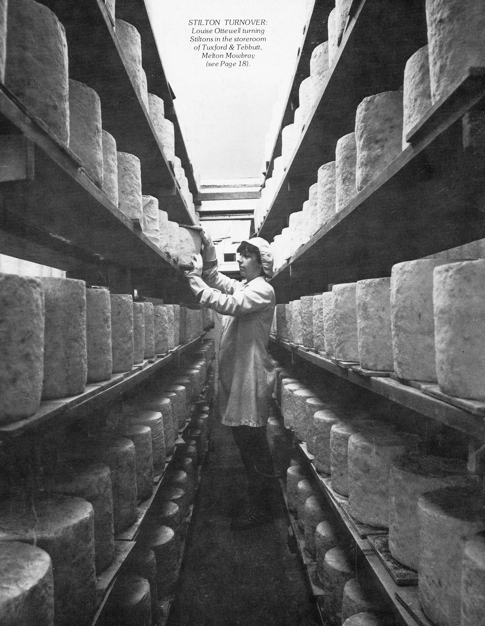 1983 Louise Ottewell turning Stiltons in the storeroom