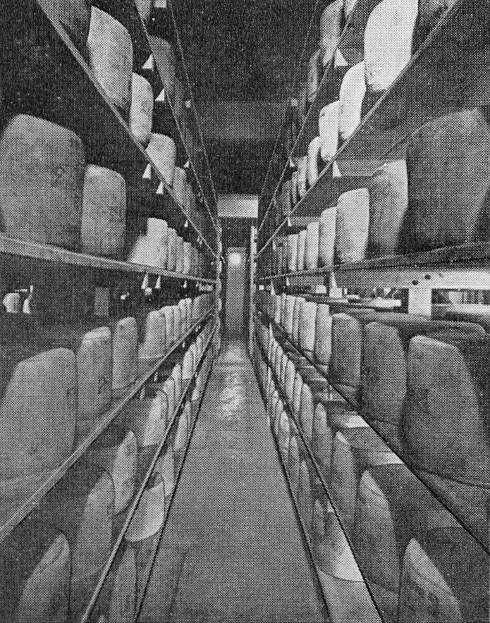 1957 Hammett's Dairies brochure extracts-Cheddar cheese conditioning store. (Courtesy Michael Mitchell)