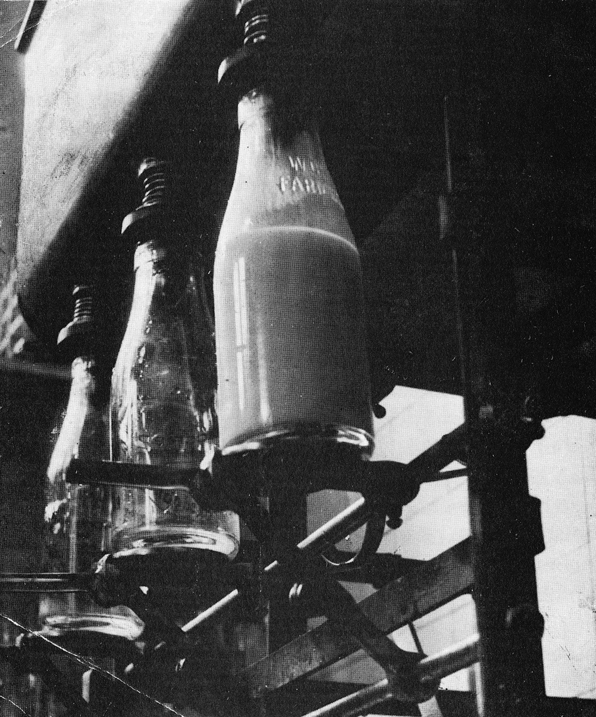 1938 "Bottle Filling at Woodgate" (Illustration from Sixty Years in Dairying-Molly Sale)