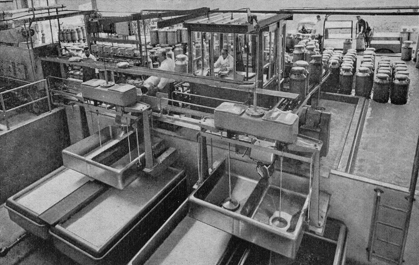 1957 Hammett's Dairies brochure extracts-churn tipping and weighing. (Courtesy Michael Mitchell)