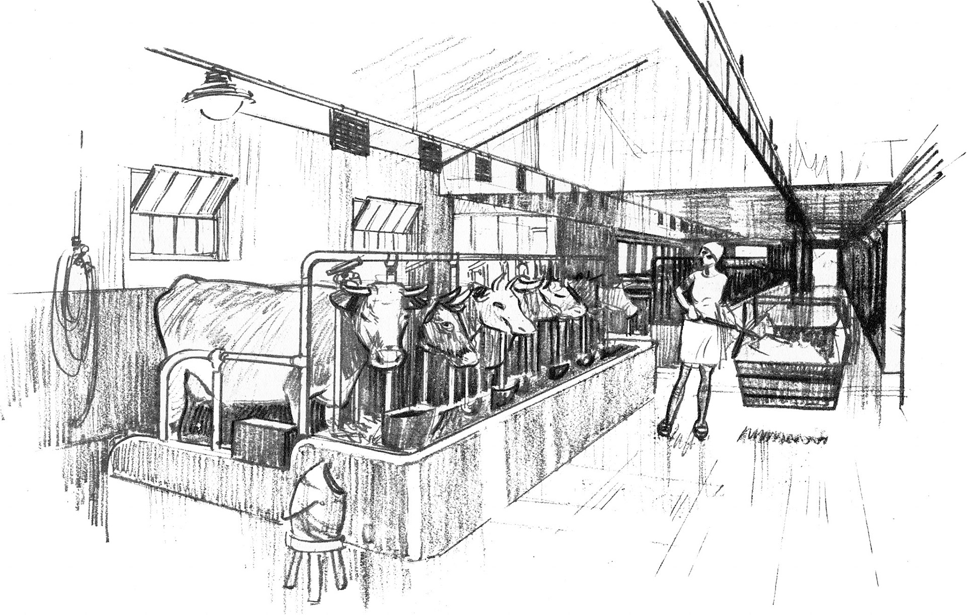 1930 Cricklewood Opening Brochure Illustration-College Farm Cow Stalls
