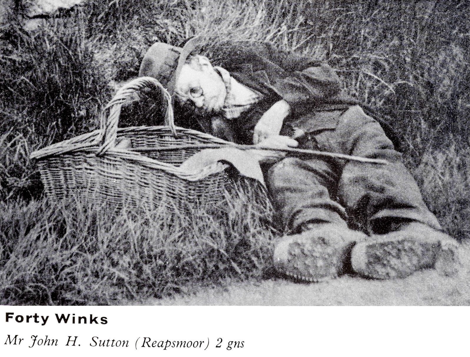 1961 Express News photo competition winner-Mr John H. Sutton (Reapsmoor) (Express News Autumn)