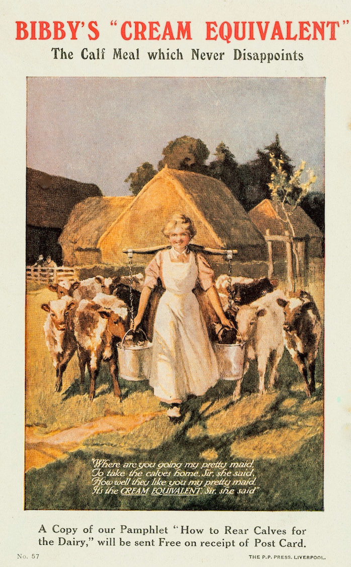 1911 Going for a bag or two of Bibby's Dairy Cakelettes. © J. Bibby &amp; Sons (Courtesy Wellcome Collection "Milkmaids and the image of purity")
