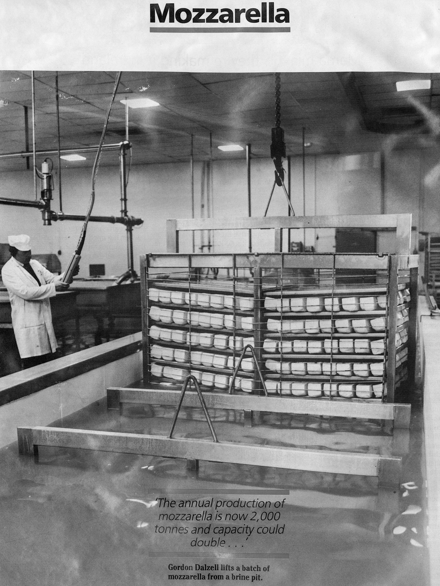 1986 Mozzarella production at Magheralin creamery in Northern Ireland