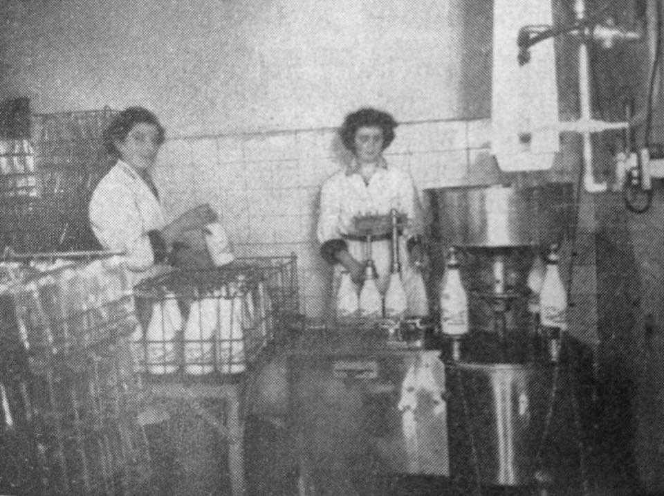 1949 Woodgate Farms images from the 'Milk Industry'