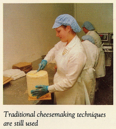 1992 - From The Cheese Company Brochure