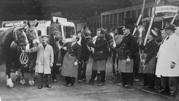 Horses on display at Carshalton Depot. Lee Durham comments "Second from the left I’m pretty sure that is my uncle Vic Chapman. He loved horses and taught me to ride to a high standard. Rumour has it he took the job so he could work with horses." Dennis Cook adds "I`m sure the man on the left was the person who looked after the horses. He walked with a permanent limp because he had been kicked by one of them. We used to go and see the horses most days as I lived in Alma Rd; probably around 1948". (Courtesy Richard Gaylard)