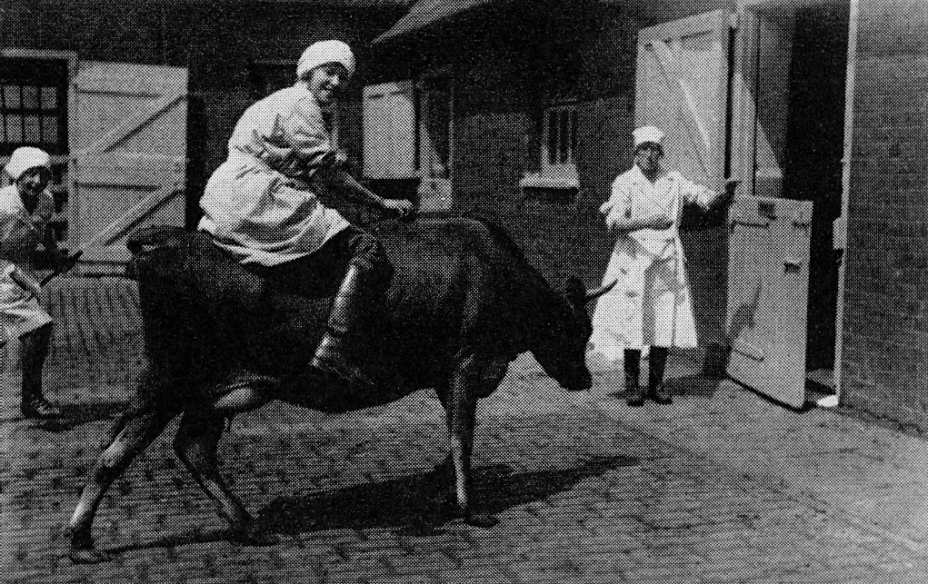 1921 College Farm. Mavis, one of the Land Army girls who soldiered on at College Farm after the war. (1960 Picture Set from Express News Christmas edition)