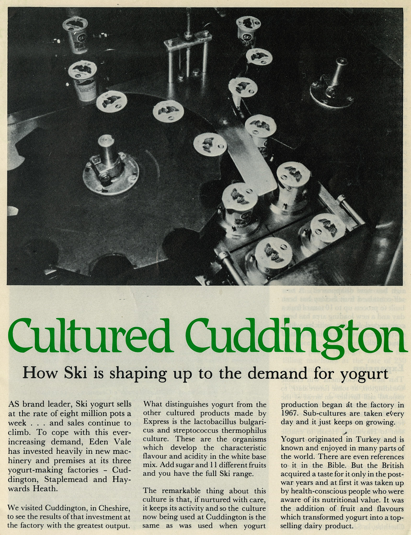 1981 Cultured Cuddington from Express News