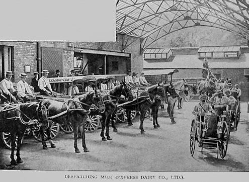 1910c 'Britain at Work' extracts - The Milk Industry. (Courtesy eBay Oldprints4all)