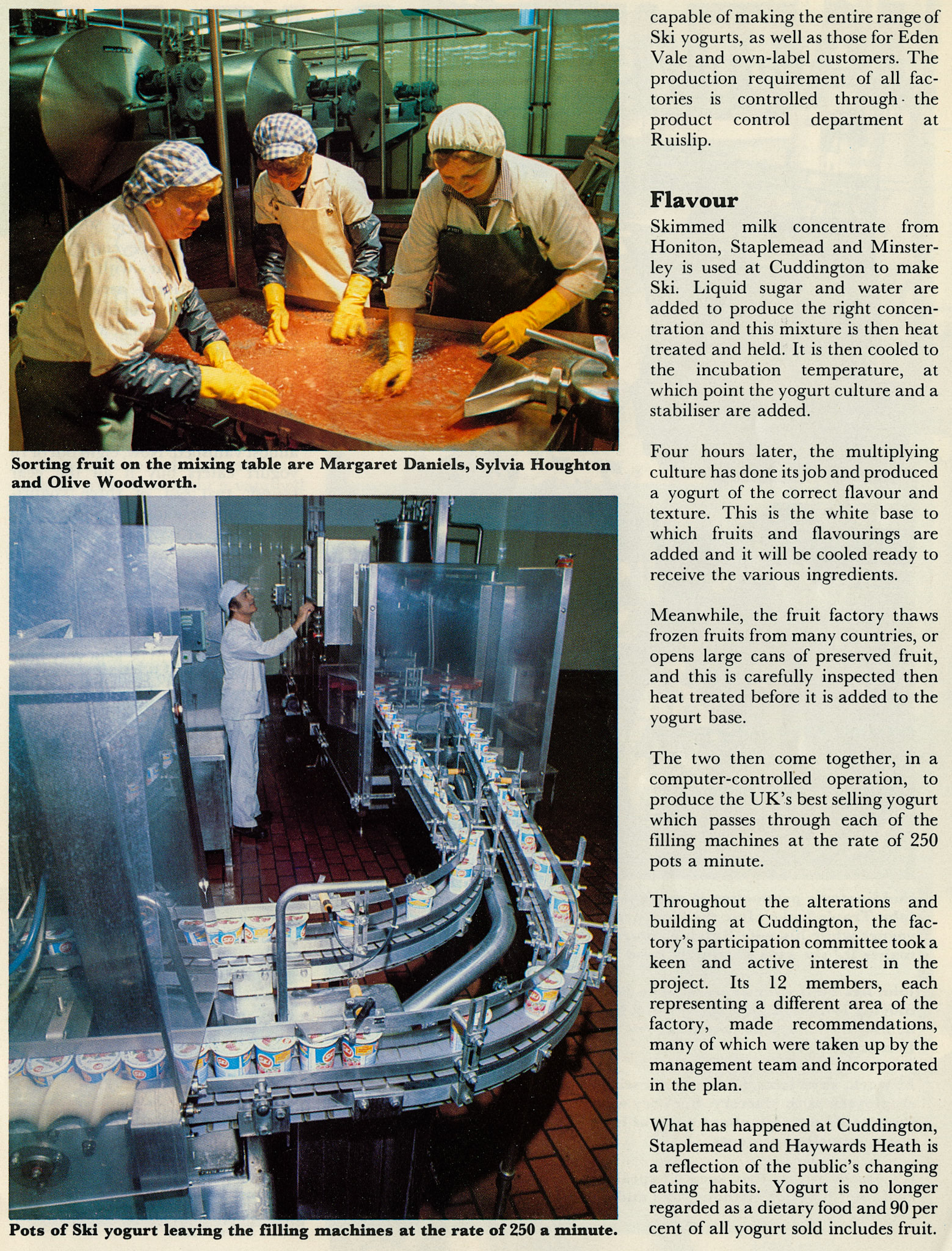 1981 Cultured Cuddington from Express News