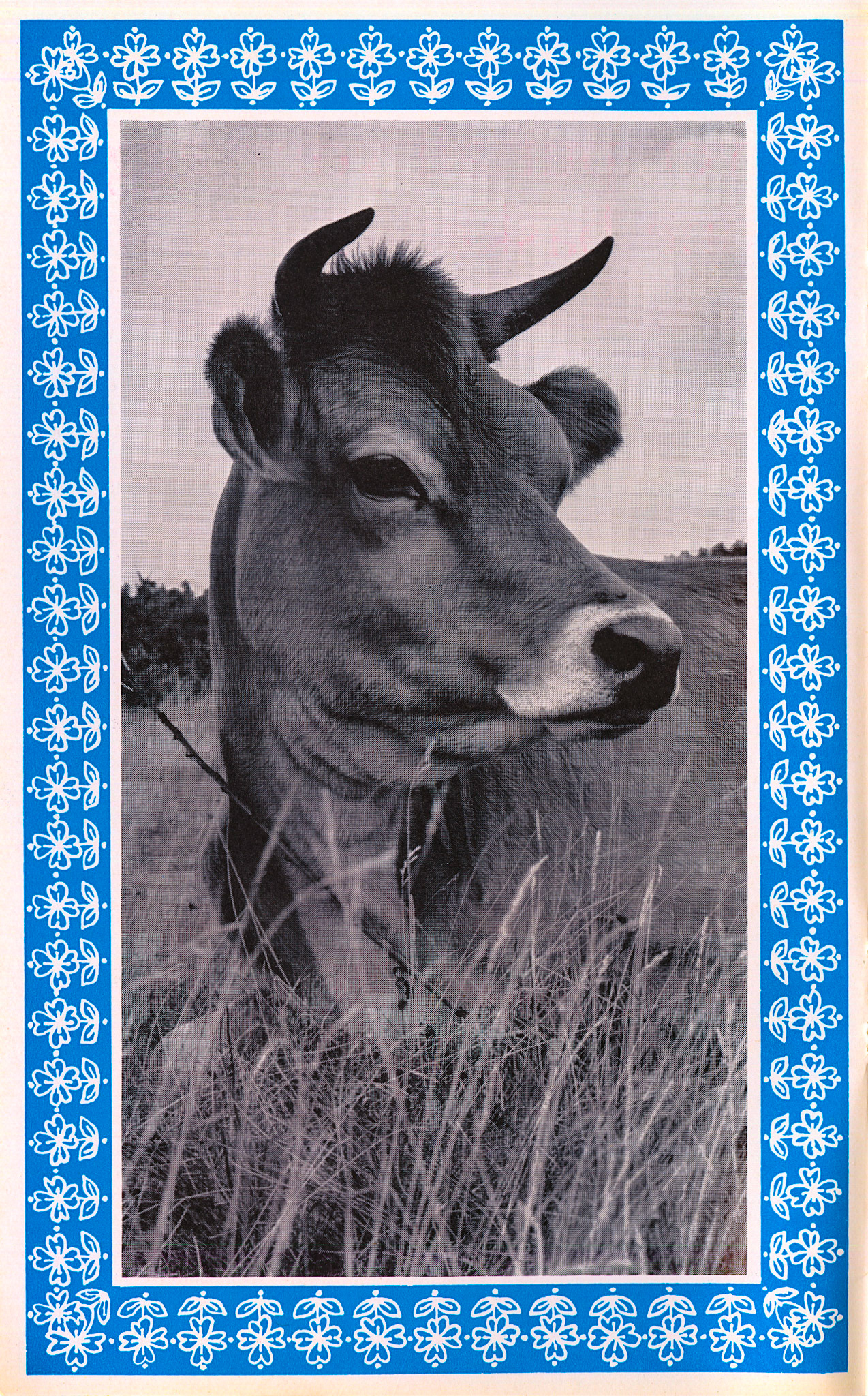 1964 'Expressly for you' customer leaflet (Courtesy Dave Fane)