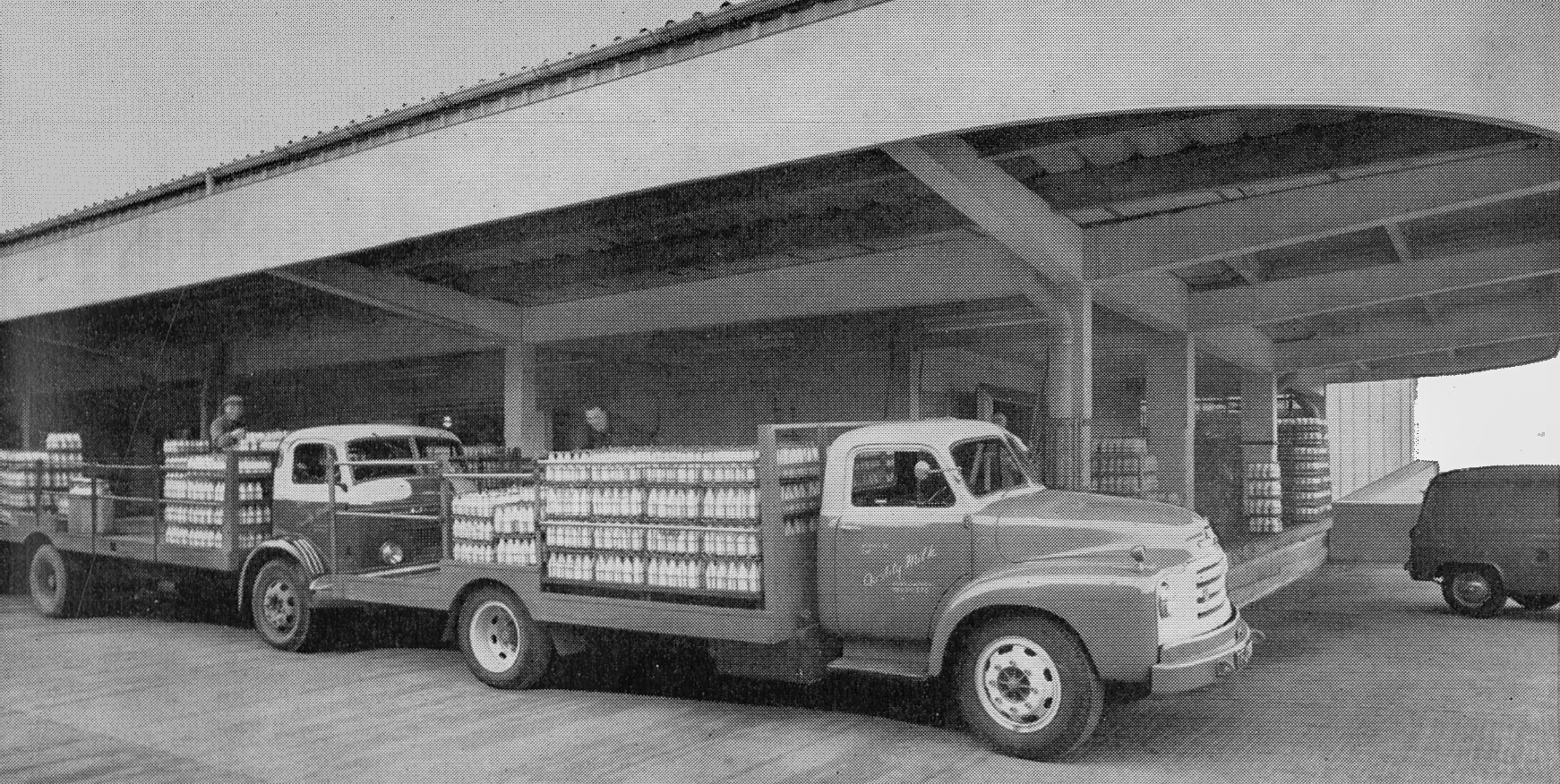 1957 Hammett's Dairies brochure extracts-loading bank. (Courtesy Michael Mitchell)