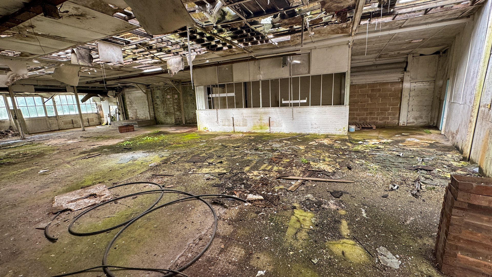 2024 Seaton Junction Site visit - 06