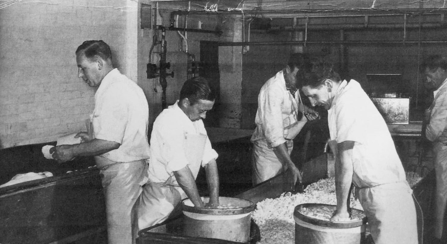 1958 Hill View Dairies in Okeford Fitzpaine, just north of Milborne St Andrew. (Courtesy Andrew Wallis, FB)