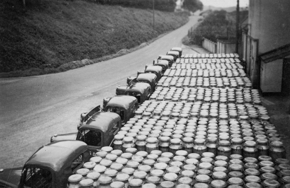 1950's Churn Lorries line up at Seaton Junction (Courtesy Keith Sweetland)