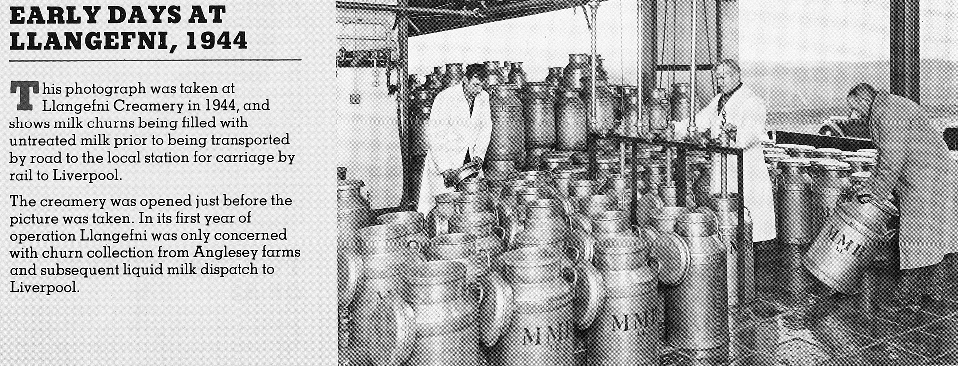 1944 Llangefni MMB Creamery filling churns with raw milk from Anglesey farms for transit to Liverpool by rail. (Insert in MMB Magazine, 1983 Sept-Oct, courtesy Andy Wallis)