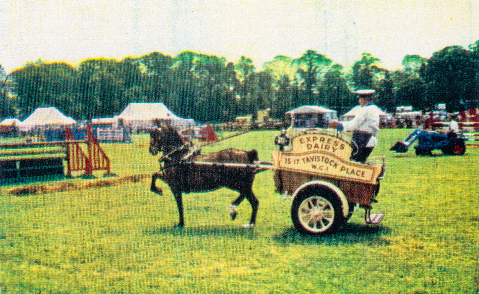 1968 Bert Scott and champion Ashfield Sensation at the Hertfordshire Show. (Express News, courtesy Paul Luke)